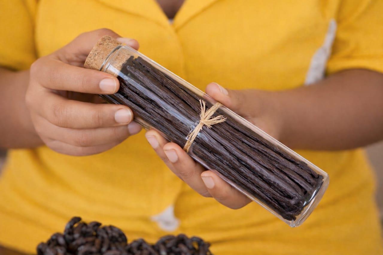 WhatsApp Image 2026-02-07 at 15.53.09 (1)