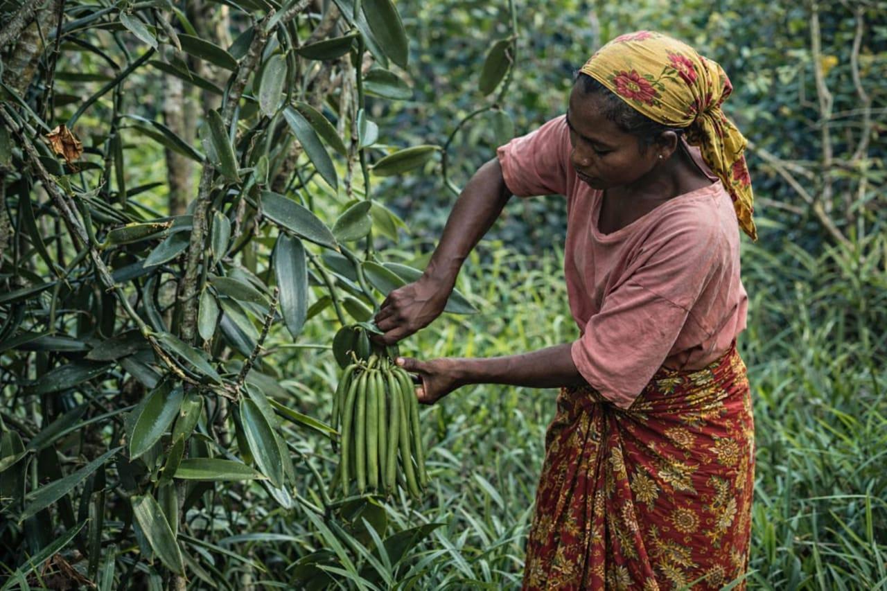 WhatsApp Image 2026-02-07 at 15.53.10 (2)