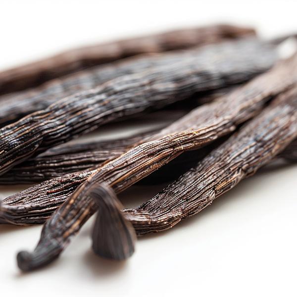 Vanille Bourbon Premium