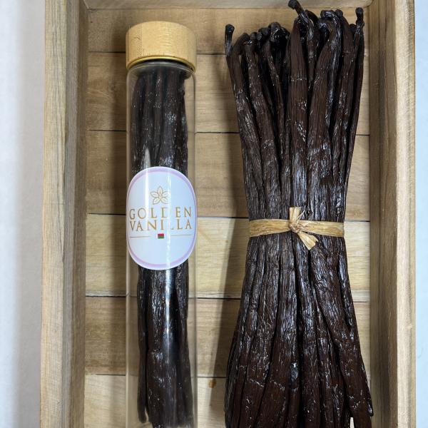 Vanille Bourbon Golden