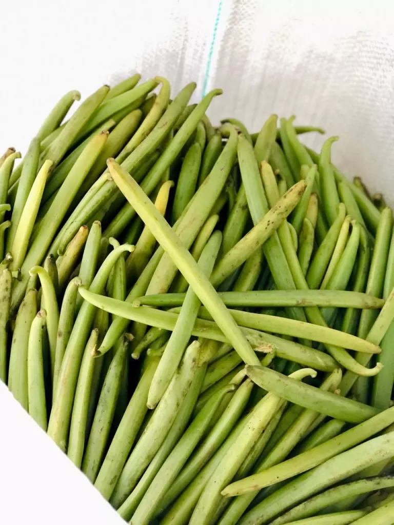 4d9bae64-ae9b-4e02-99e2-2acda0d0aa46